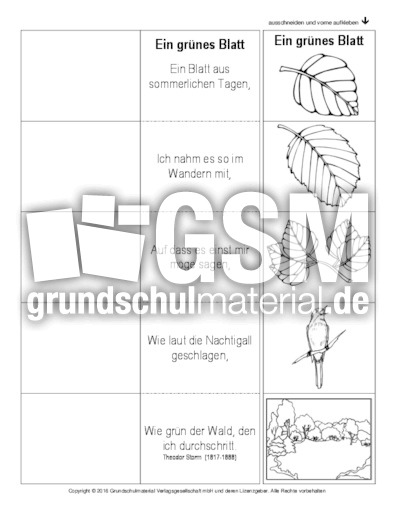 Flip-Flap-Ein-grünes-Blatt-Storm-SW.pdf